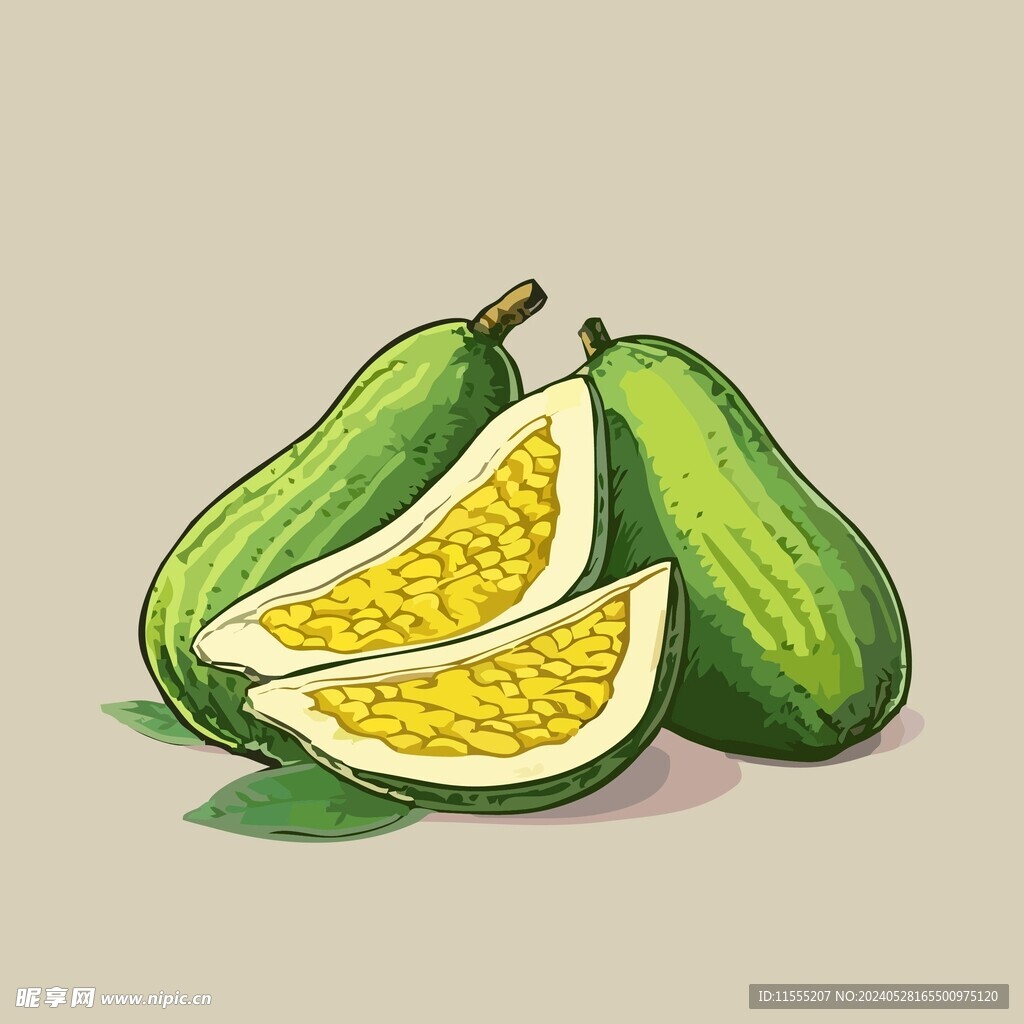 菠萝蜜热带水果手绘矢量插画