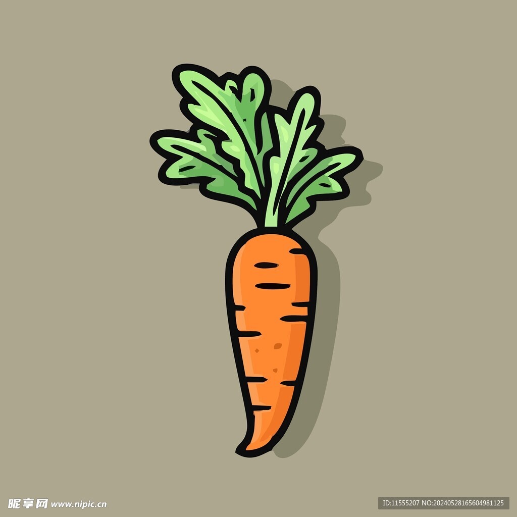 美胡萝卜蔬菜手绘矢量插画