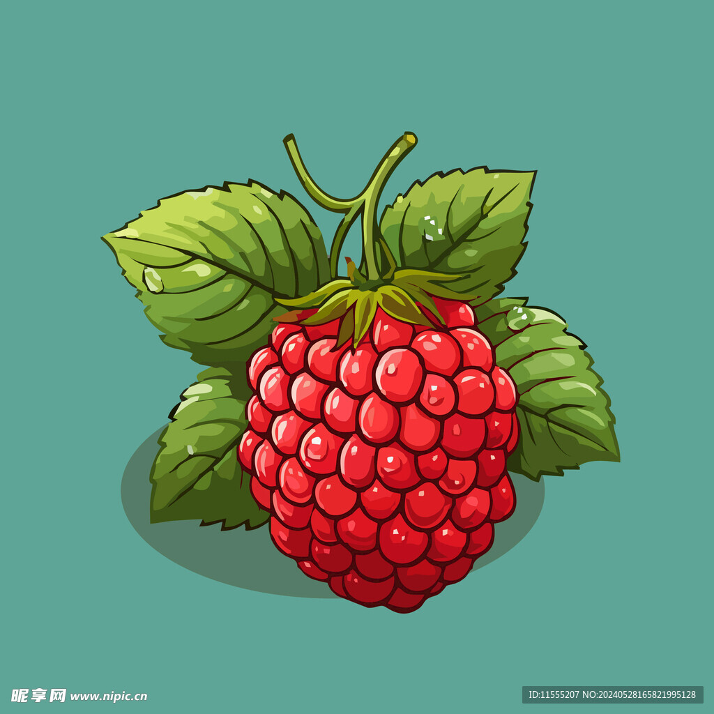 手绘树莓水果矢量插图卡通美食