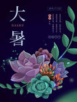 大暑海报           