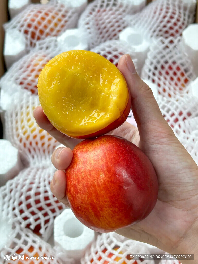 油桃