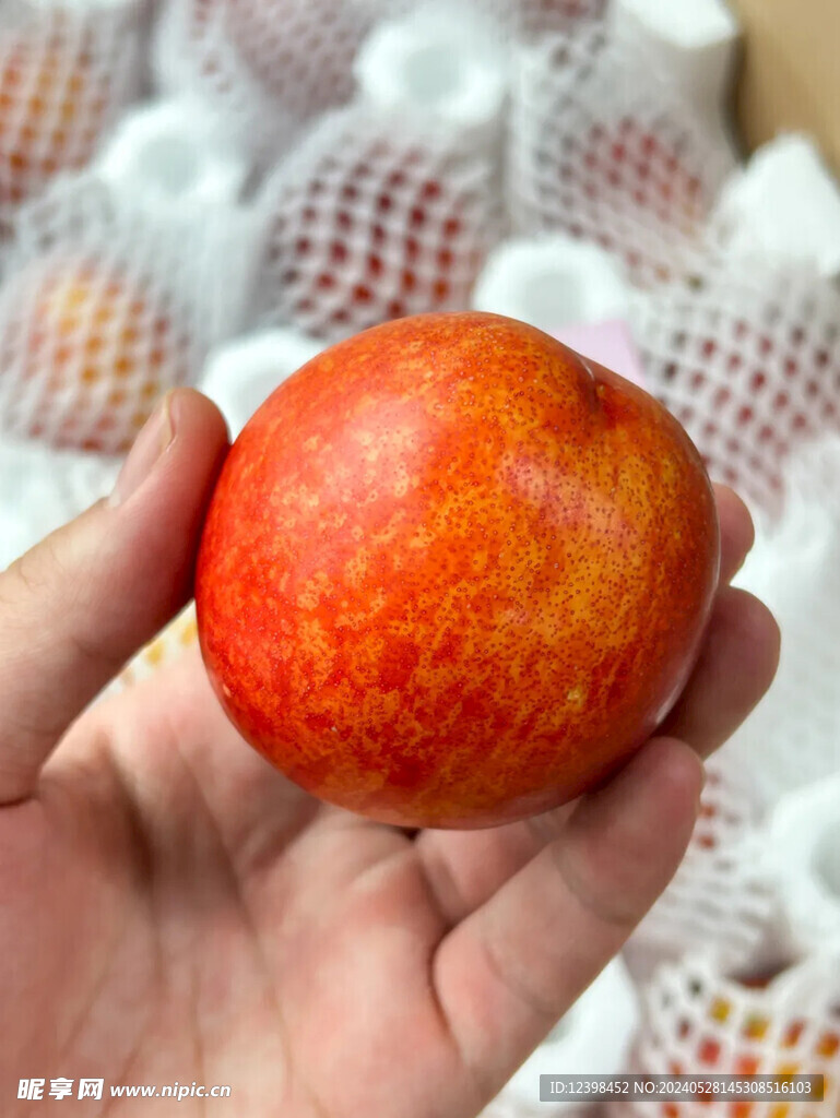 油桃