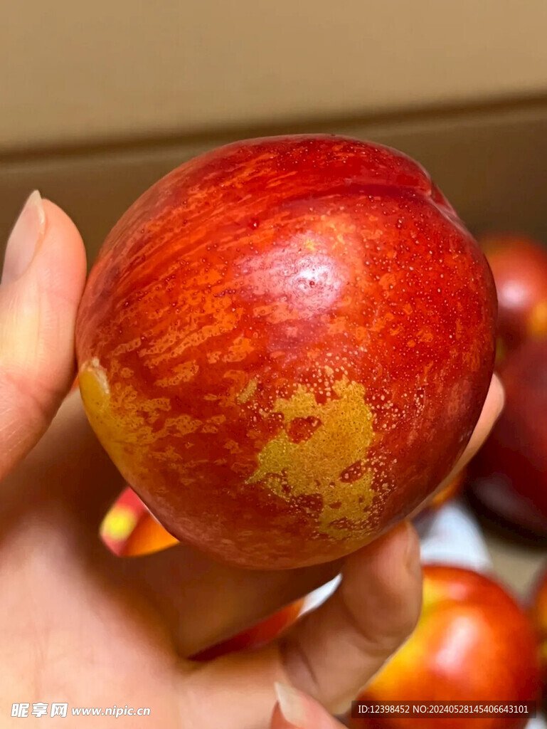 油桃
