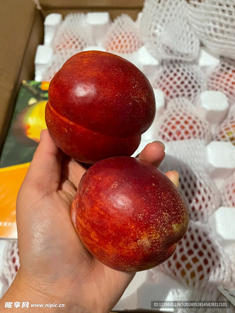 油桃