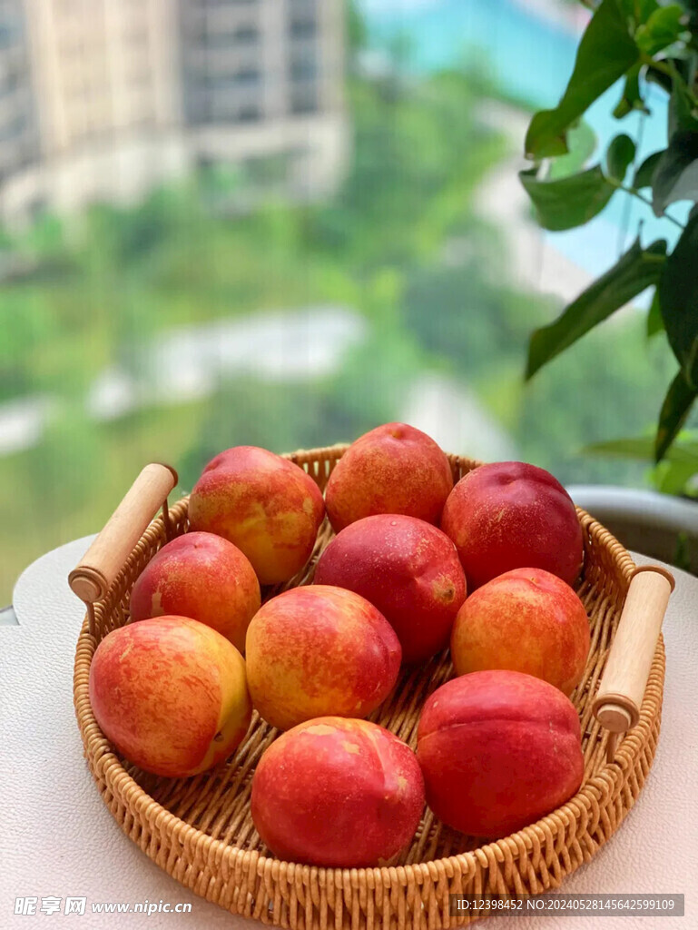 油桃