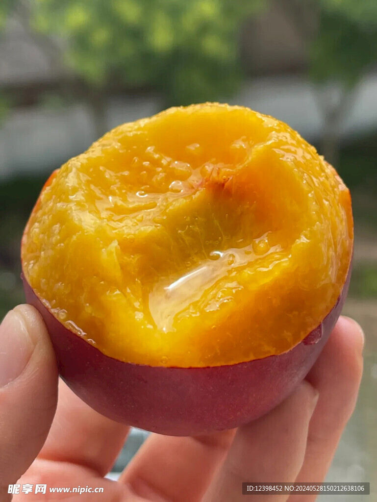油桃
