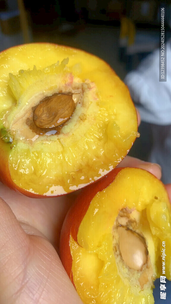 油桃