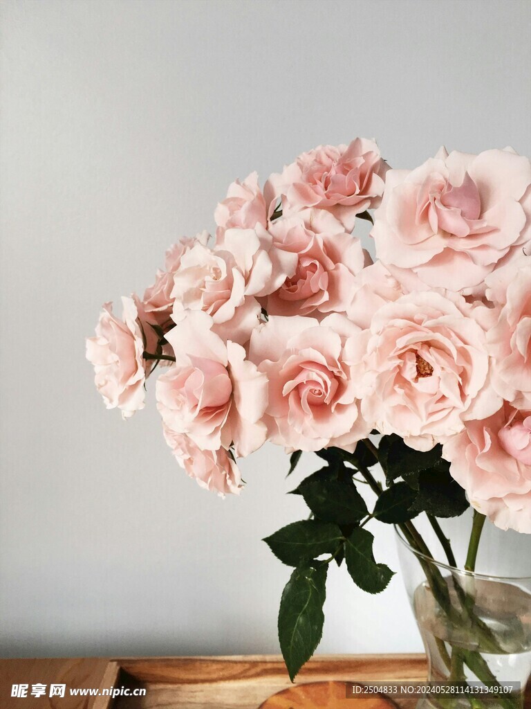 玫瑰