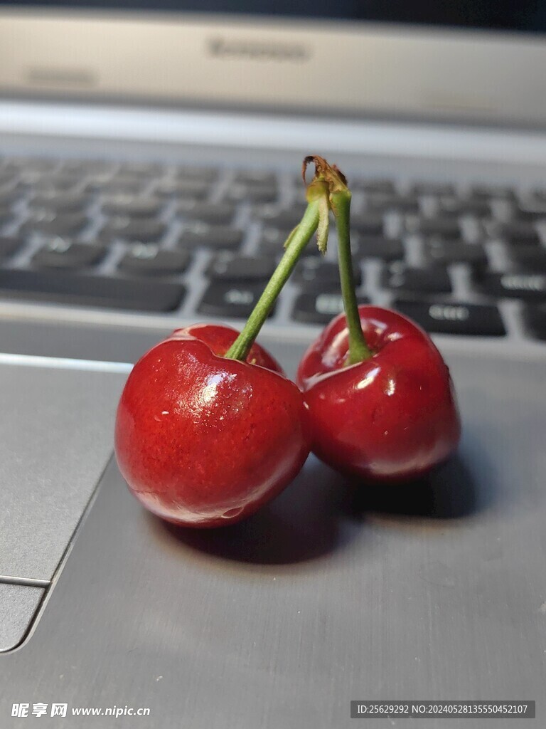 樱桃