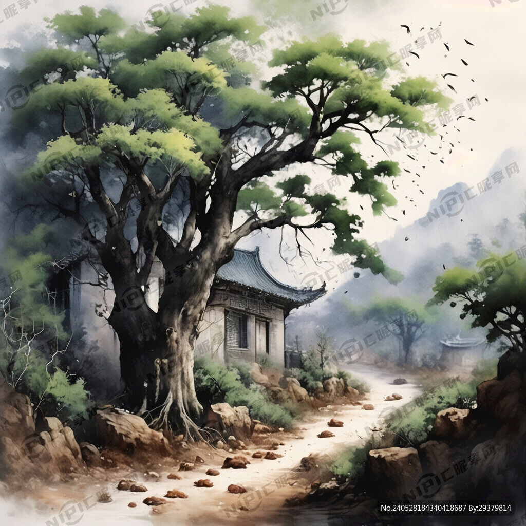 古桑树采桑葚