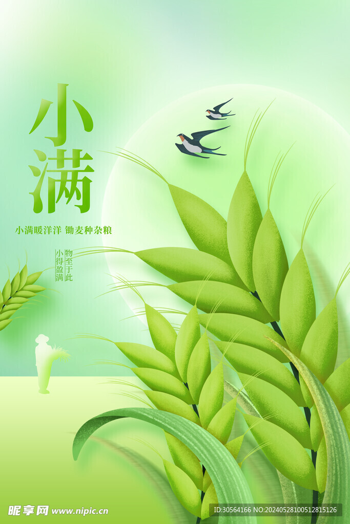 小满