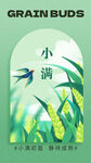 小满