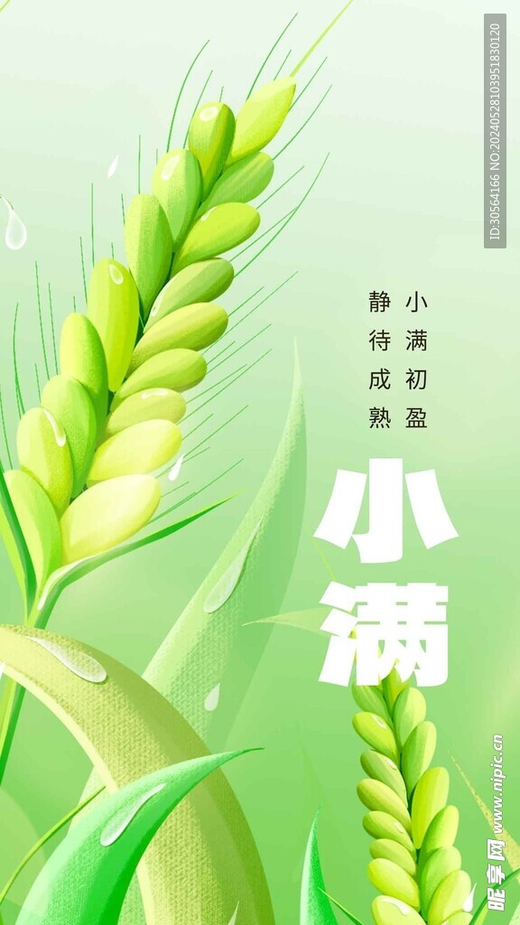 小满
