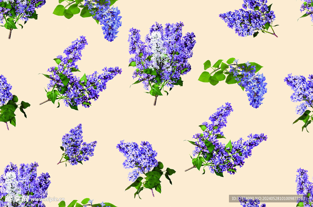 手绘花 