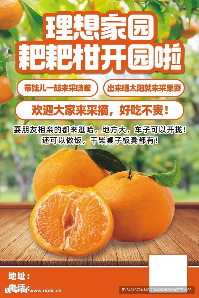 耙耙柑宣传海报