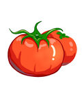 番茄插画透明底素材