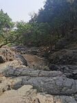 泰山