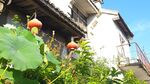 安徽铜陵大通古镇旅游徽派建筑