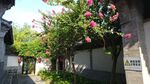 山东烟台蓬莱阁旅游园林