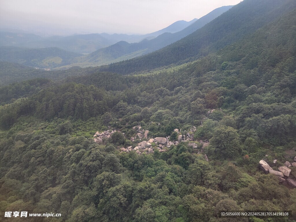 庐山旅游树林缆车