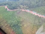 庐山旅游树林缆车