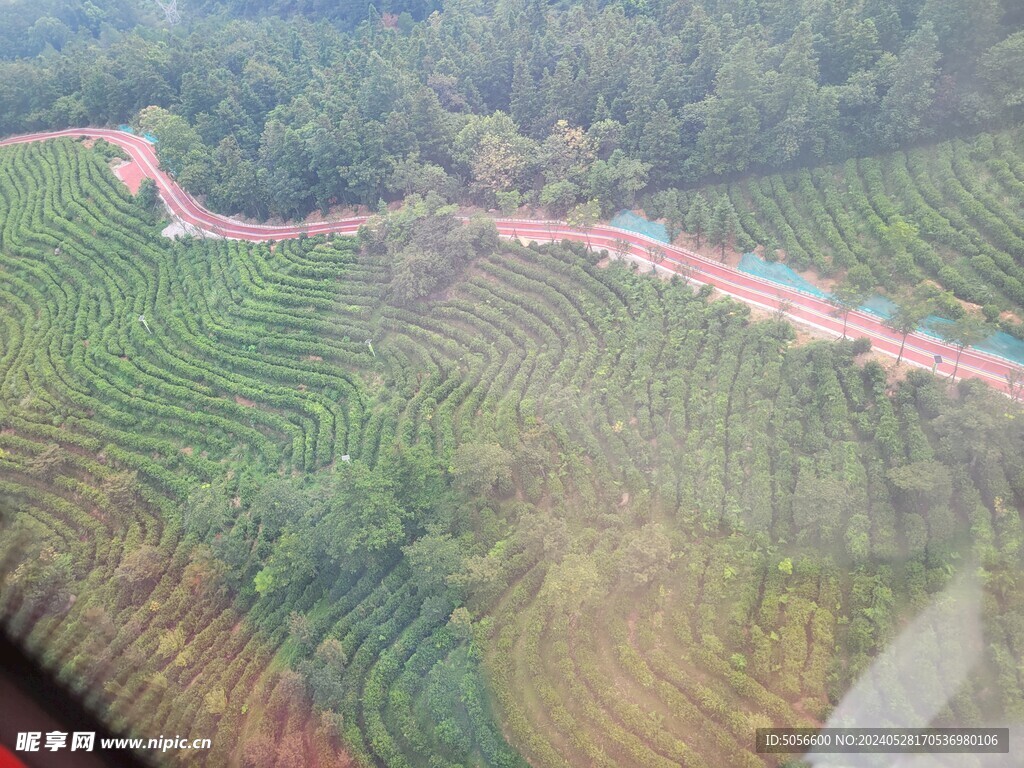 庐山旅游树林缆车