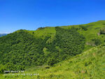 草原风景