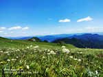 草原风景