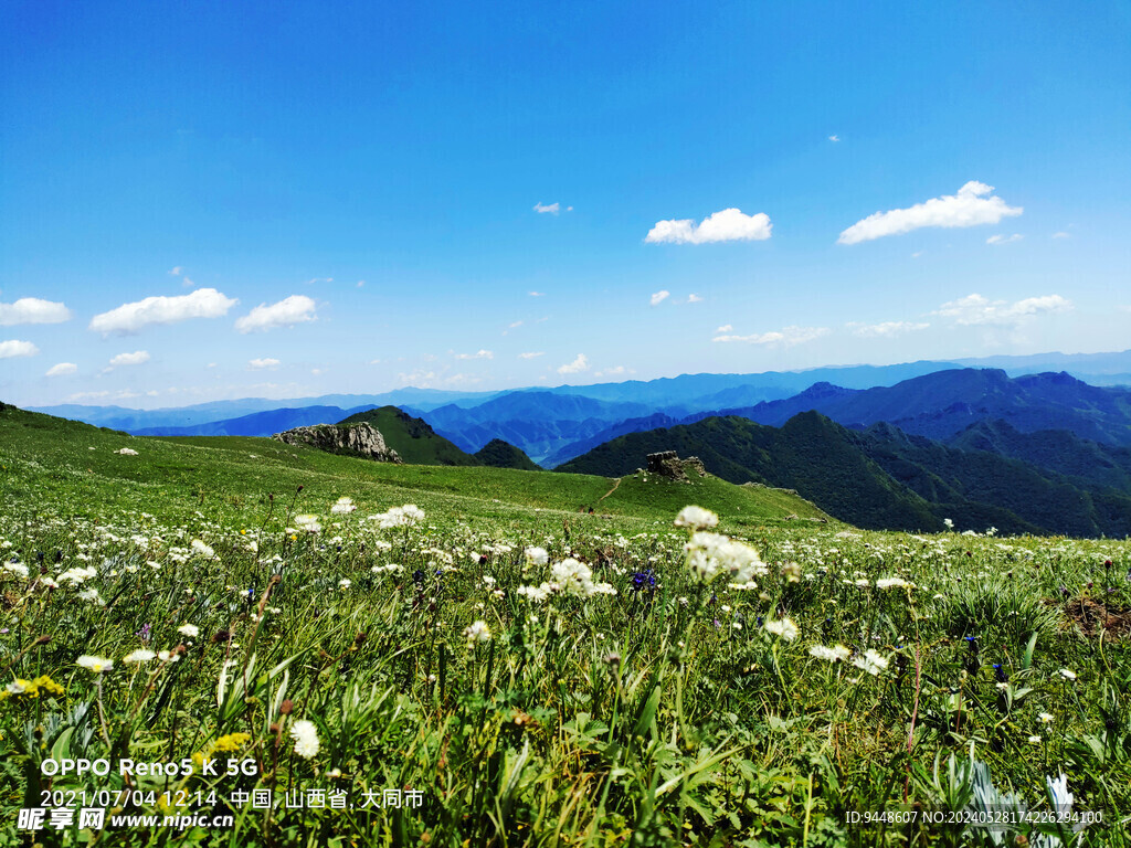 草原风景