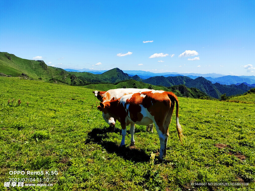 草原风景