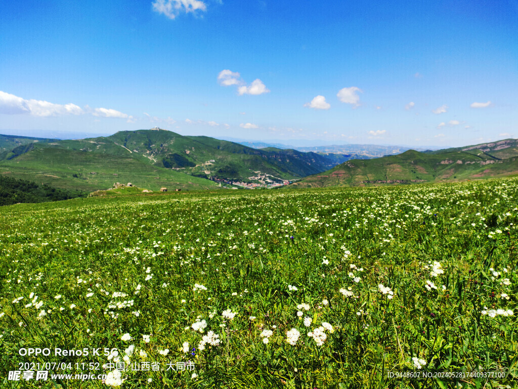 草原风景