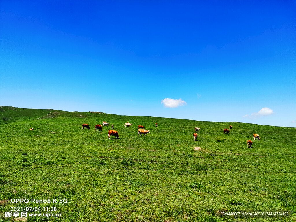 草原风景