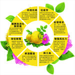 刺梨功效