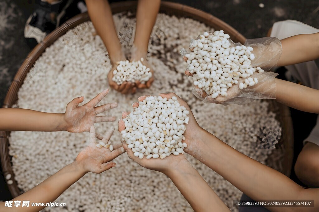 酱油酿造