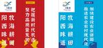 阳西路灯灯布