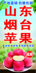 苹果