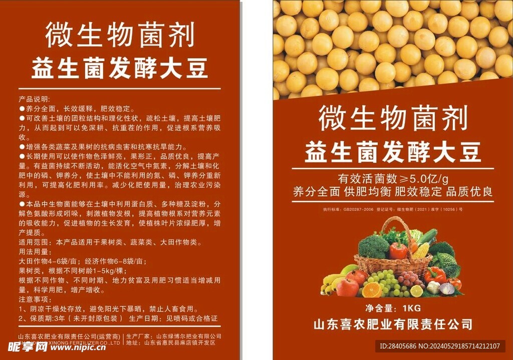 大豆