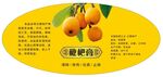 枇杷膏