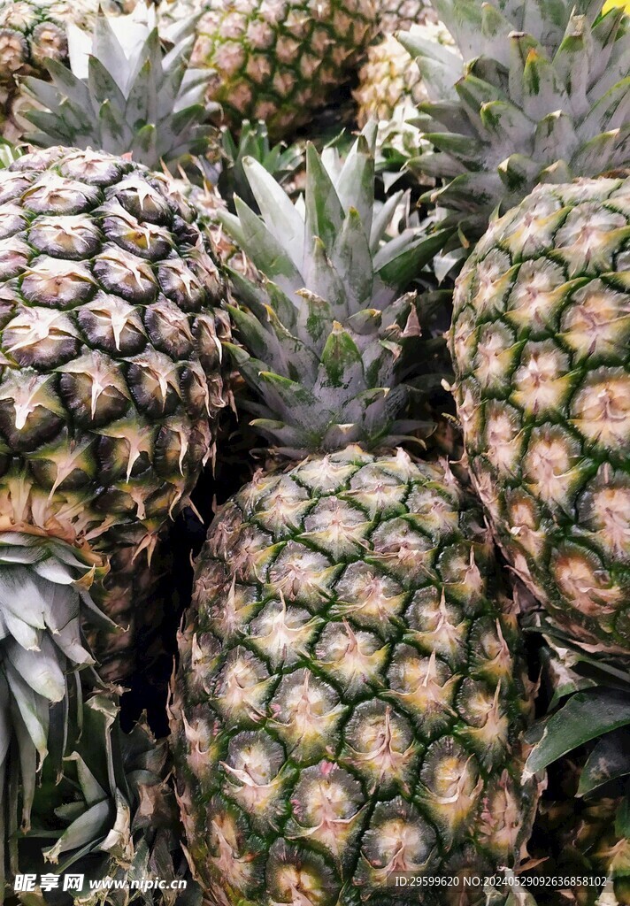 凤梨 