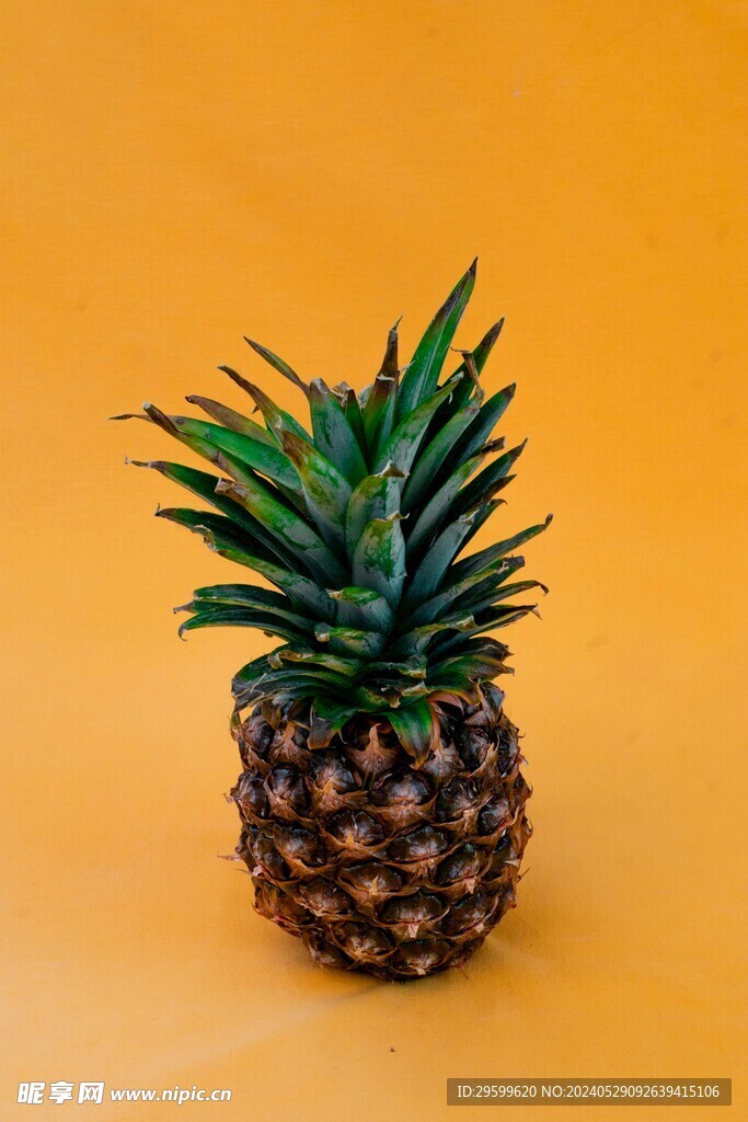 凤梨 