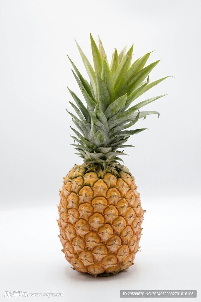 凤梨  