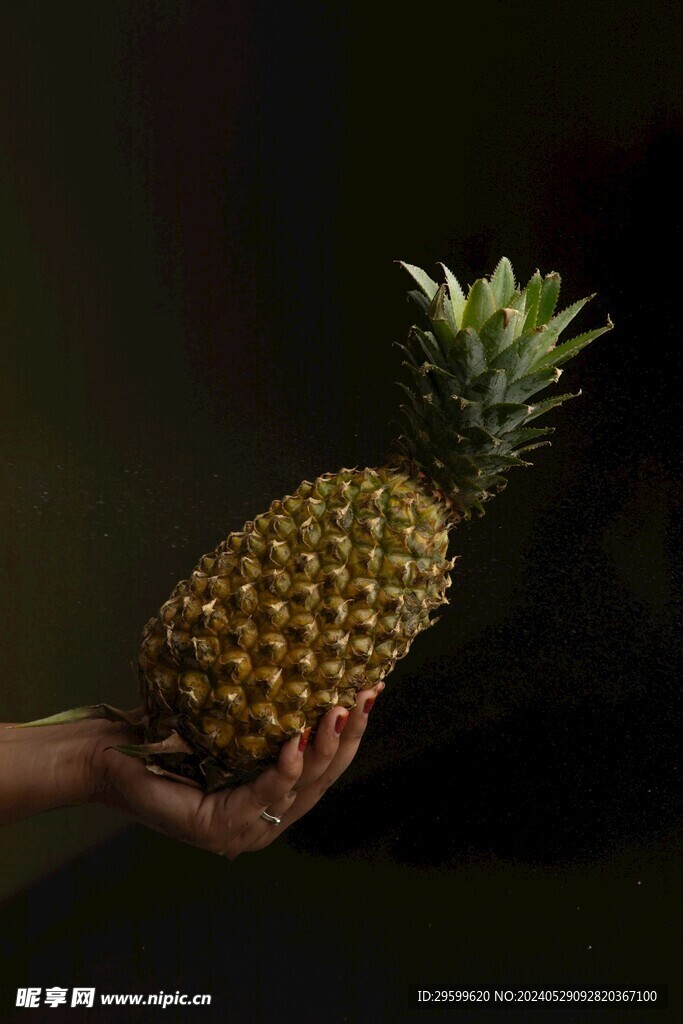 凤梨 