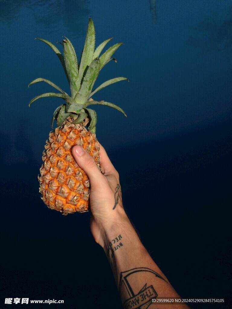 凤梨  