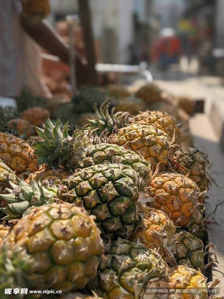 凤梨  
