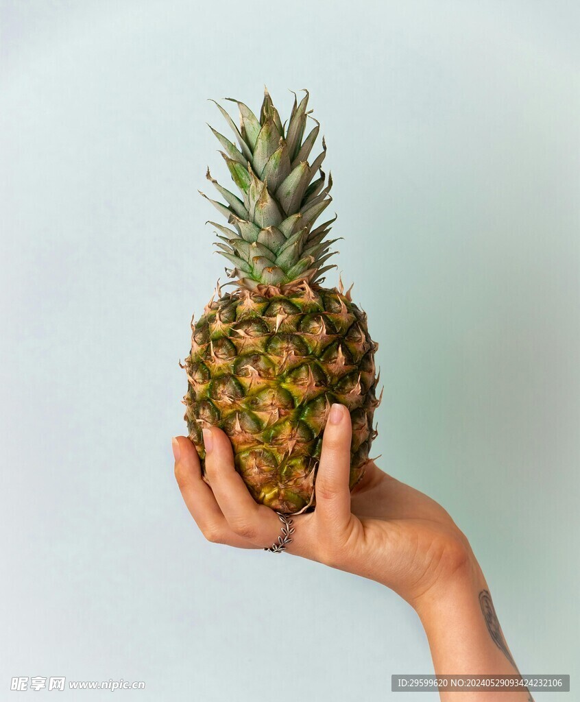 凤梨  