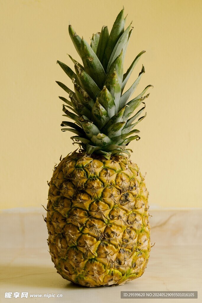 凤梨  