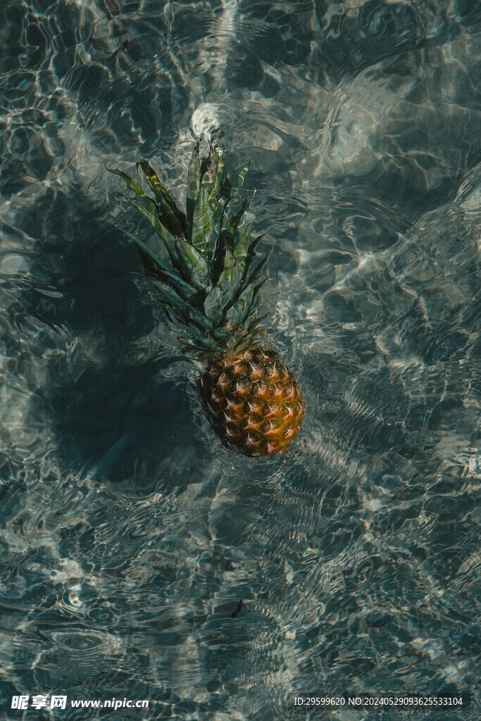 凤梨  