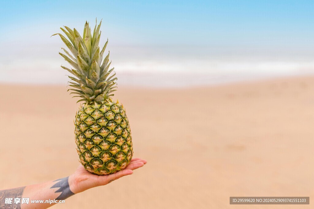 凤梨  