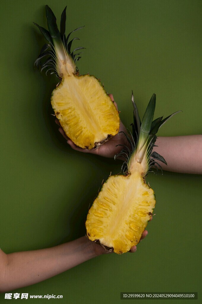 凤梨 