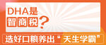 公众号头图